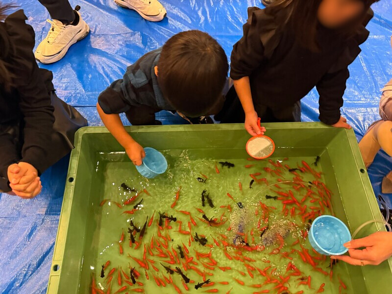 50周年祝賀祭の様子（金魚すくい）